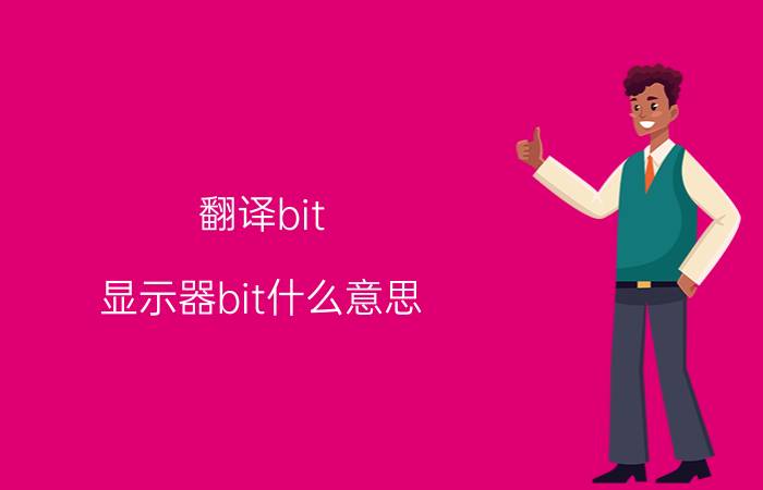 翻译bit 显示器bit什么意思？